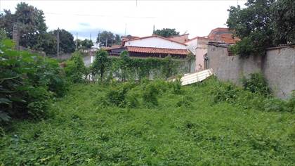 Fundos do lote.