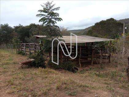 Curral 