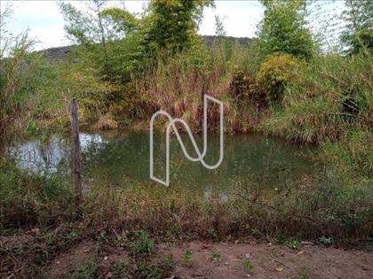 Nascente 