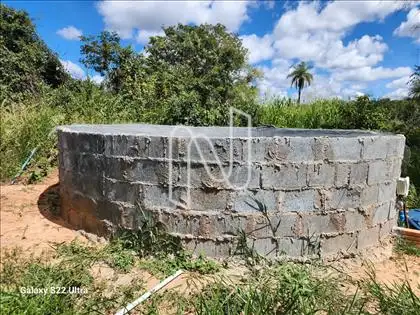  Tanque de Peixes