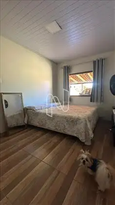 suíte 2