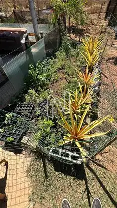 Horta 