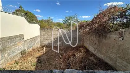 QUINTAL AMPLO NOS FUNDOS 