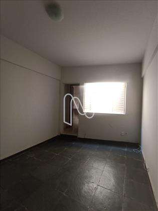 Suite 