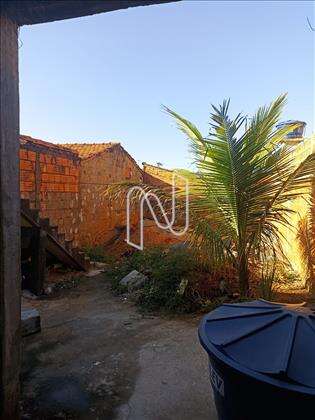 Quintal. 
