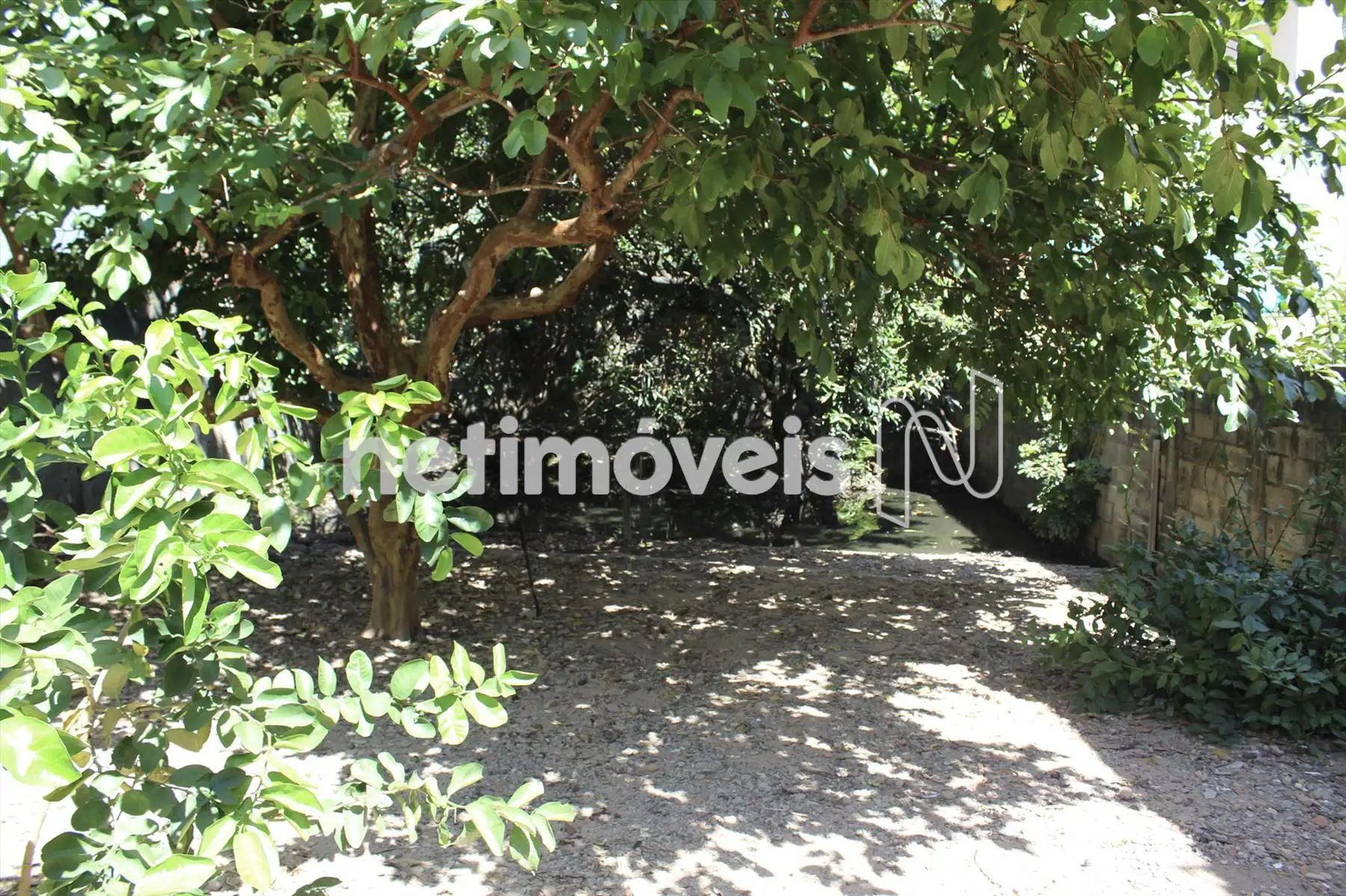 Fundos da casa e mina d´água