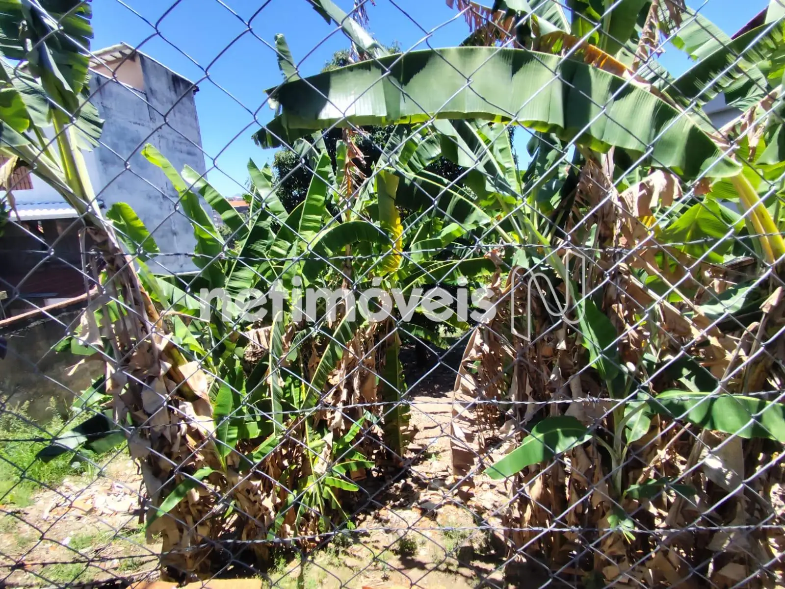 Área externa