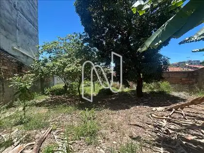 Área com árvores frutiferas