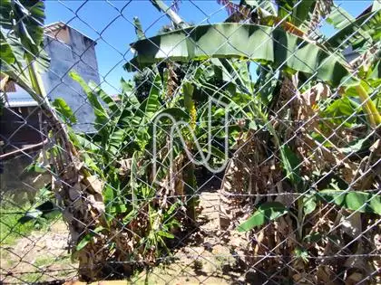Área externa