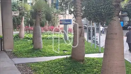 Jardim