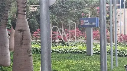 Jardim