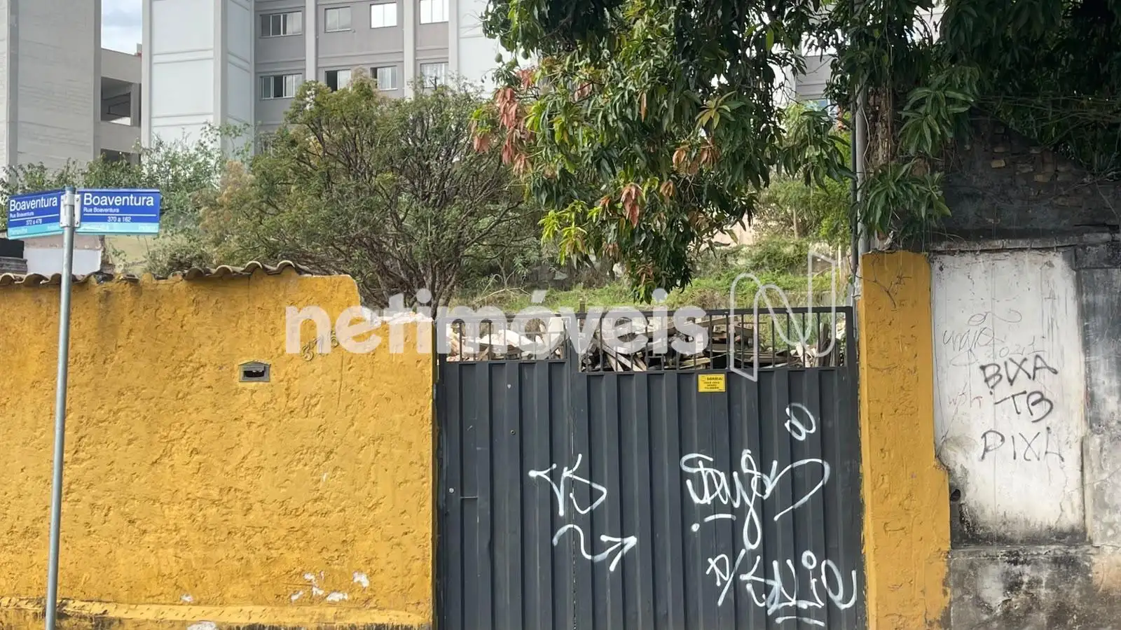 Frente do lote