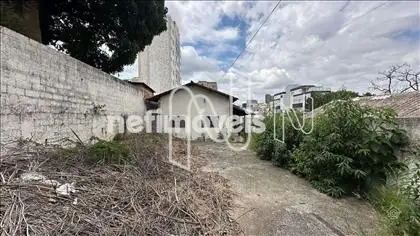 lote