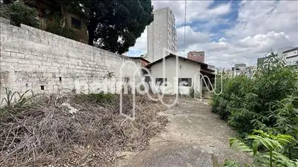 lote
