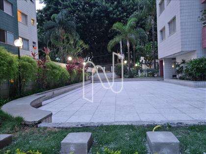 Jardim