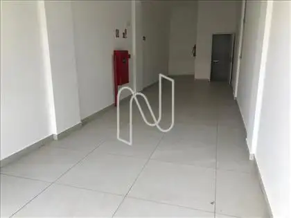 Piso Loja