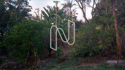 Quintal