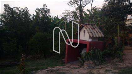 Quintal
