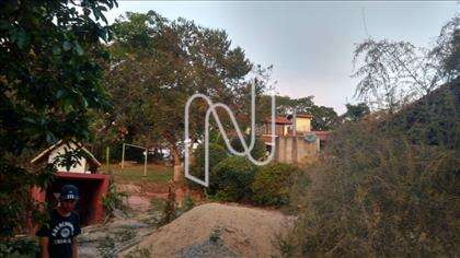 Quintal