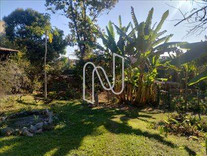 Quintal