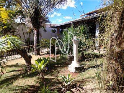 Jardim 