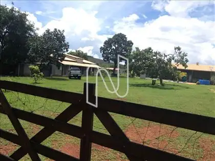 Entrada 