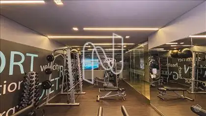 Academia 