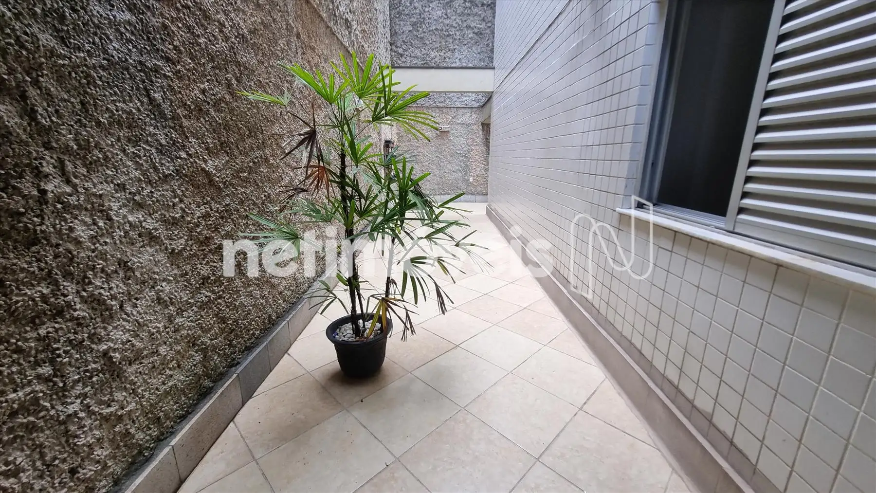 Área privatiza externa