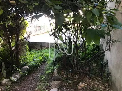 Lateral da Casa 