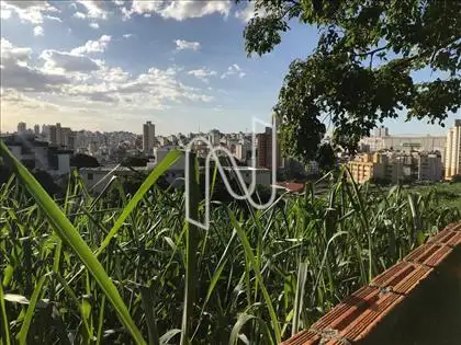 vista depois do muro 