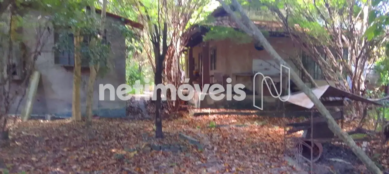 Área externa e casa antiga