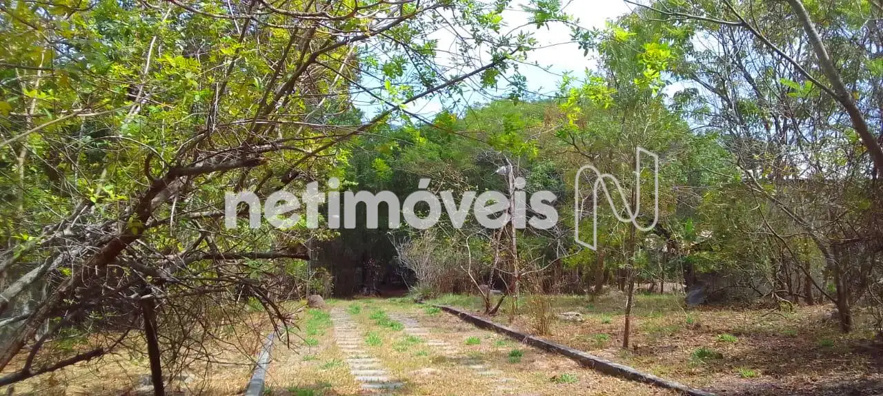 Área externa e entrada