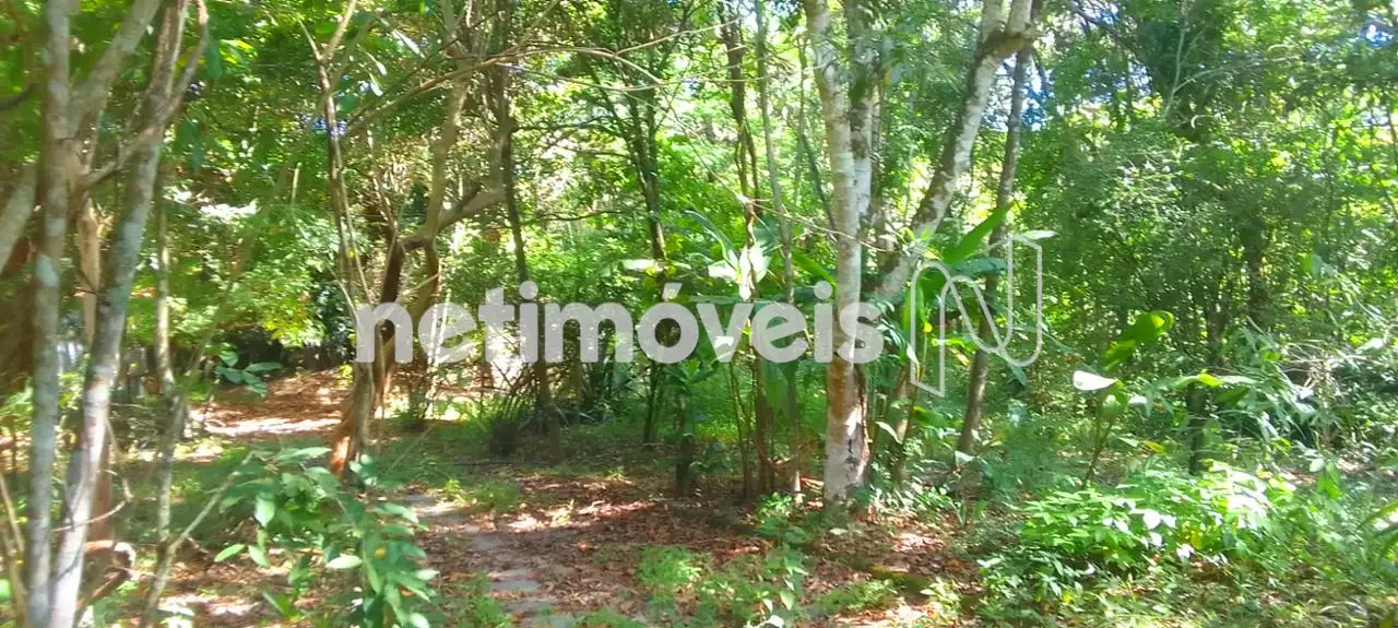 Área externa e caminho de veículos