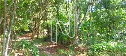   Área externa e caminho de veículos