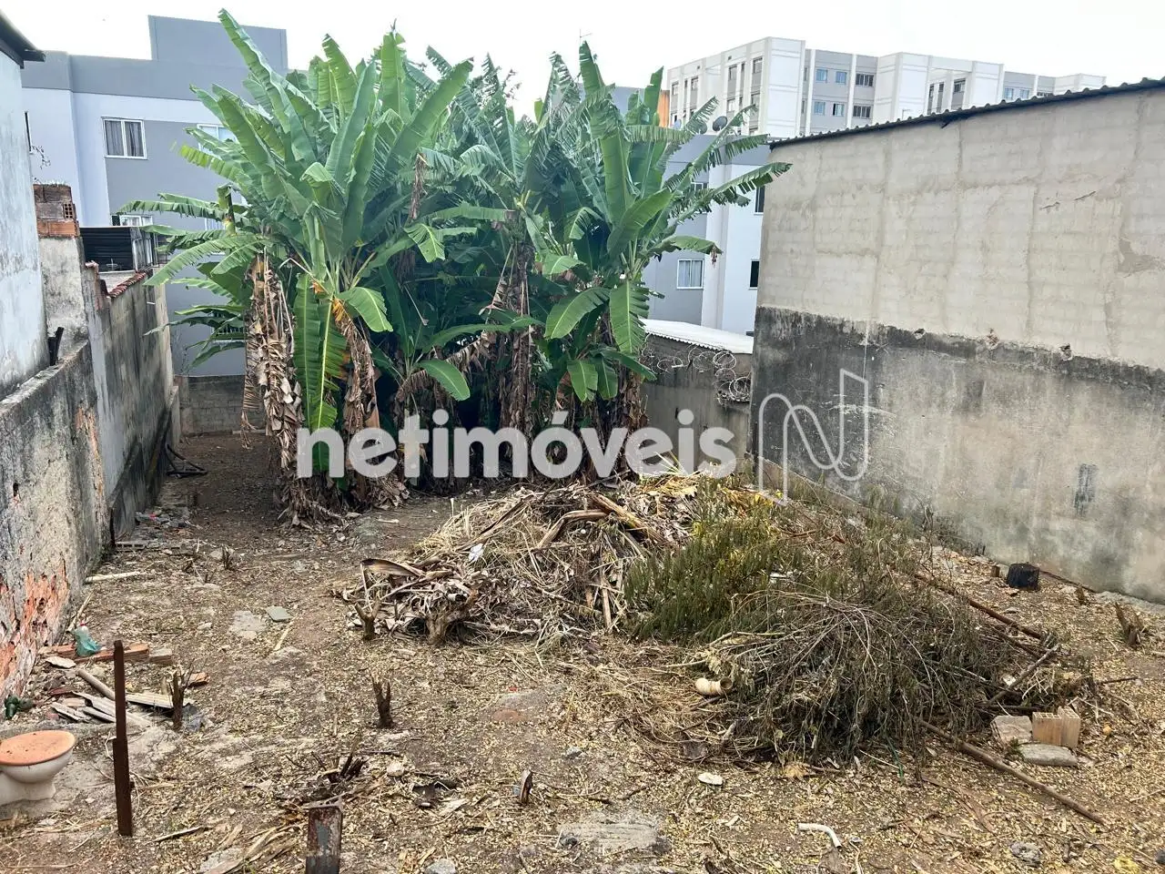 Lote