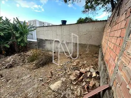   Lote