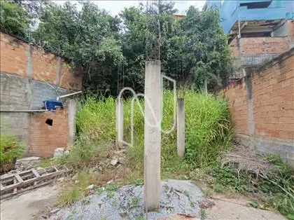  Estrutura  