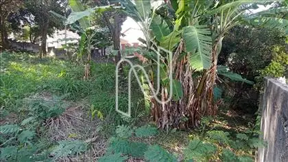 Vista interna 
