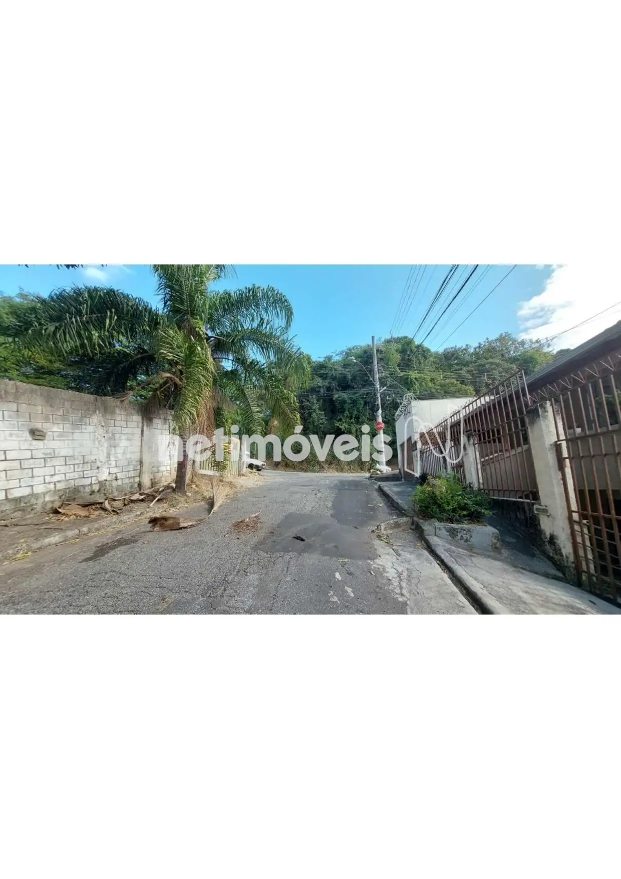 Muro do lote 