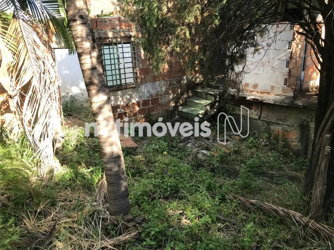 Lado direito Entrada 