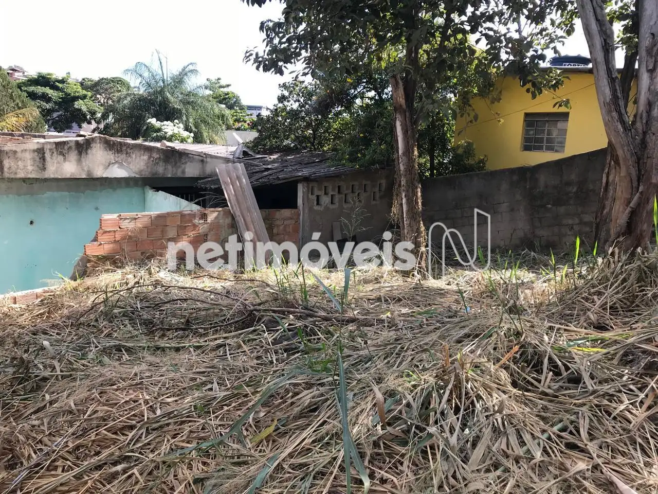 Vista fundo para frente lote 