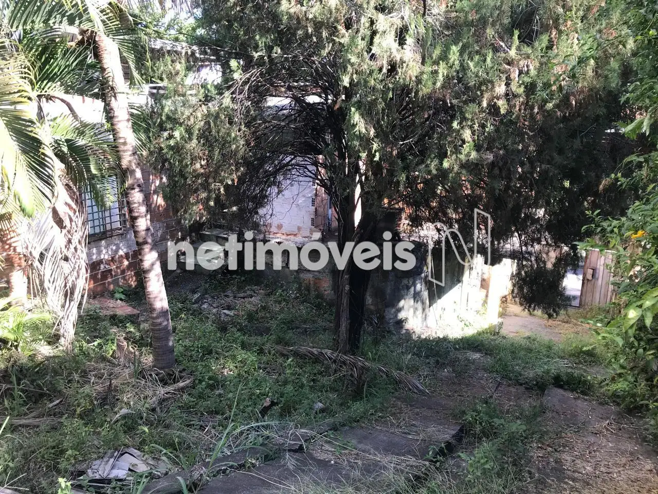 vista Fundo Casa entrada 