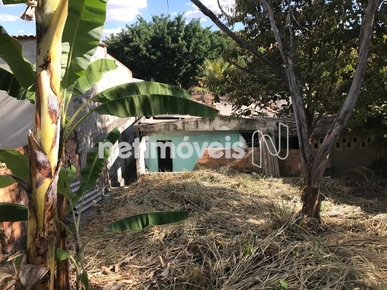 vista do fundo para Frente Lote 