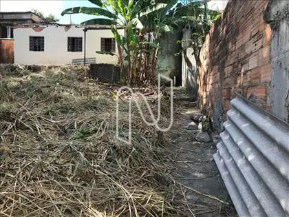 vista quintal 