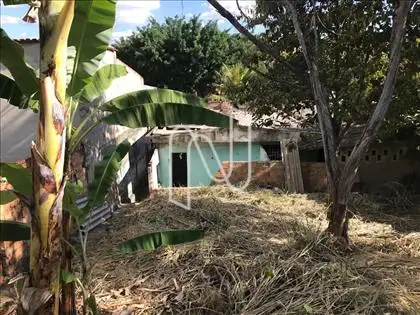 vista do fundo para Frente Lote  