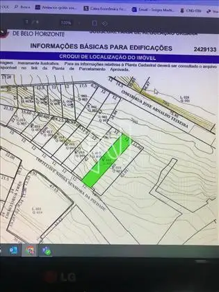  Planta