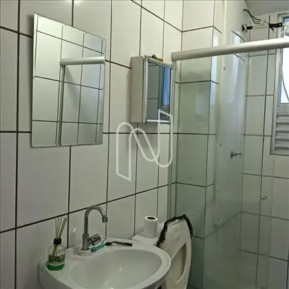 Banho Social - Lavatório Coluna  