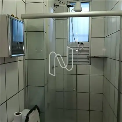  Banho Social - Visão Box 