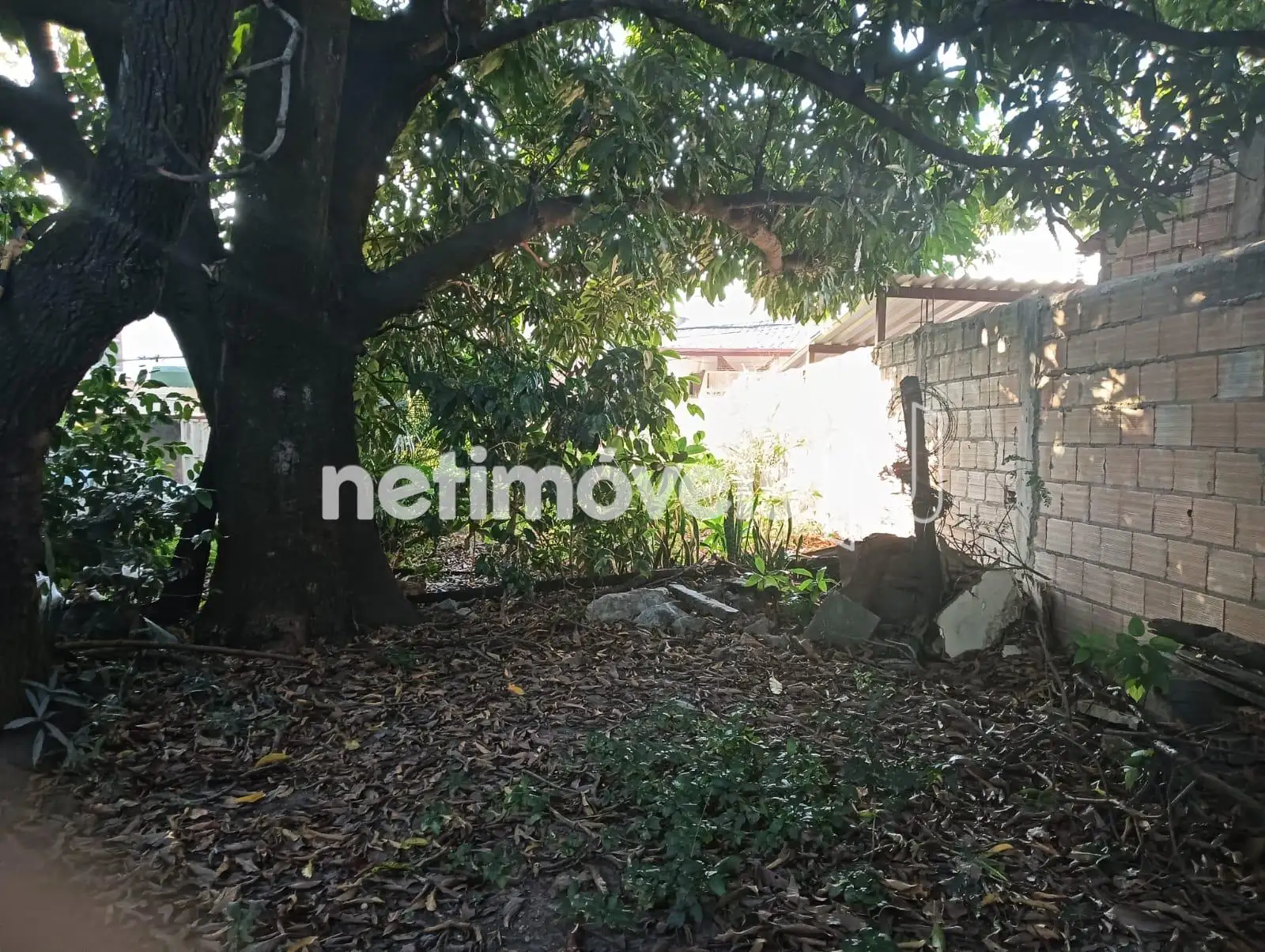 LOTE PLANO TOPOGRAFIA EXCELENTE LOTE PLANO TOPOGRAFIA EXCELENTE