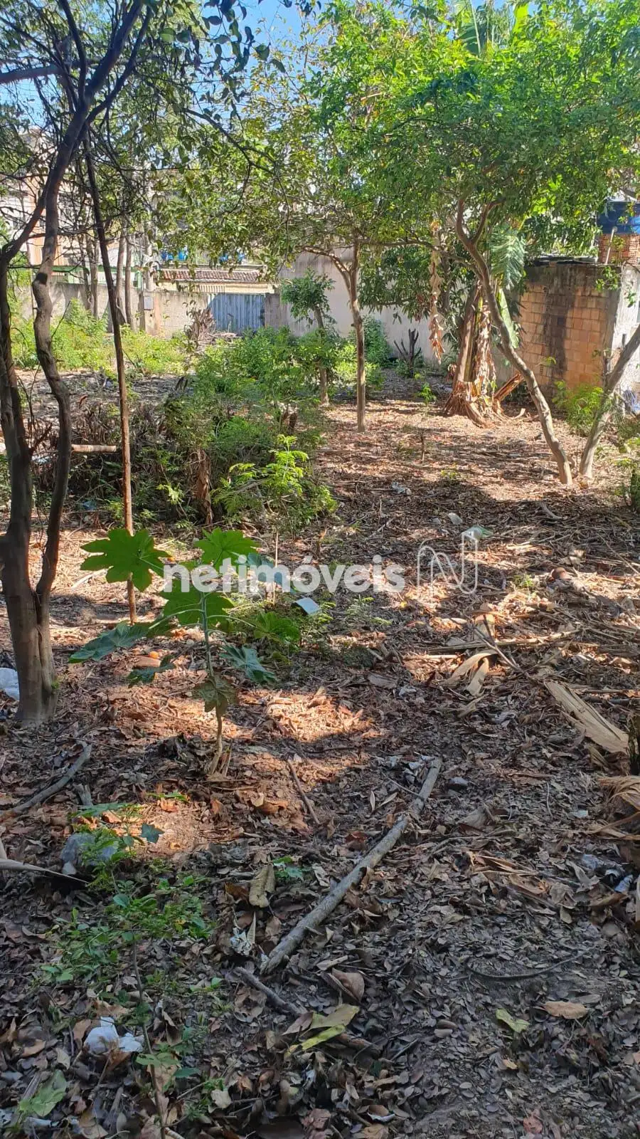 INTERNA PARTE FRENTE 